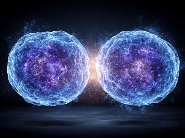 The Visualization of Quantum Entanglement Illustrates the ...