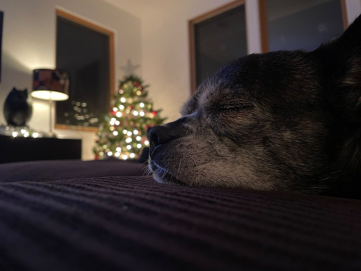 No photo description available. No photo description available.