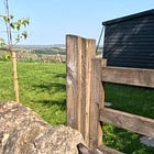 Finding presence in slower days 