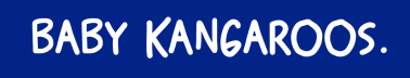 baby kangaroos
