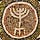 Rabbi David Ingber