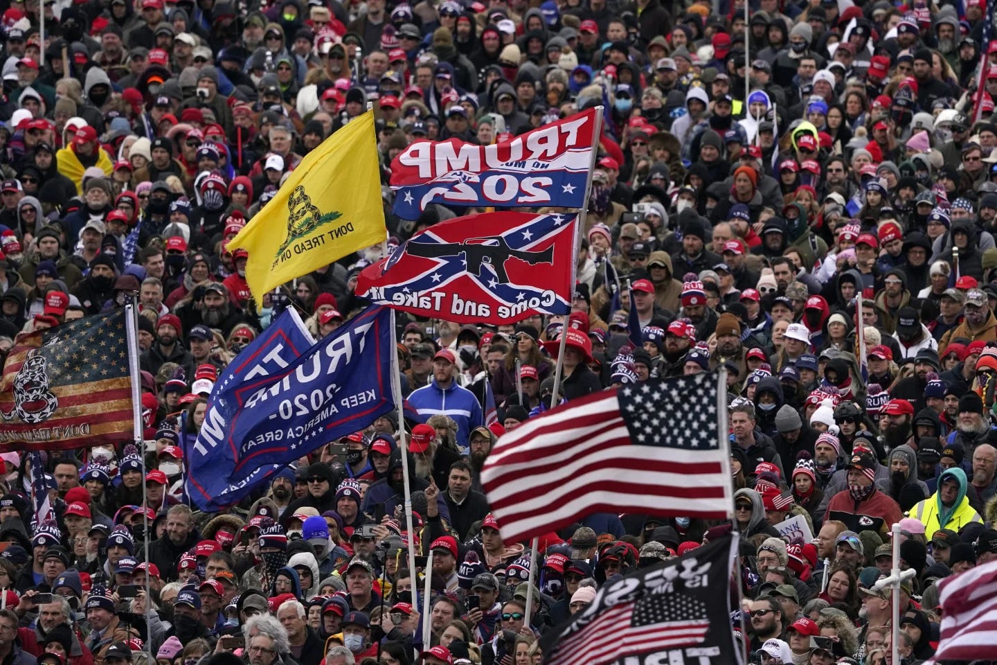Image of a crowd of people assembled outside, with some holding flags bearing various slogans supporting President Trump.