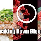Nattokinase Breaks Down Blood Clots Induced by Spike Protein