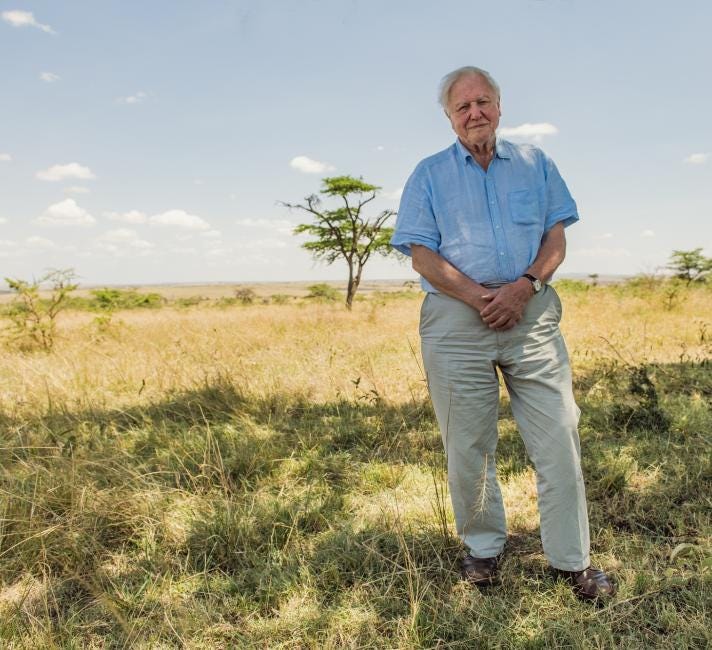 Sir David Attenborough and WWF | WWF