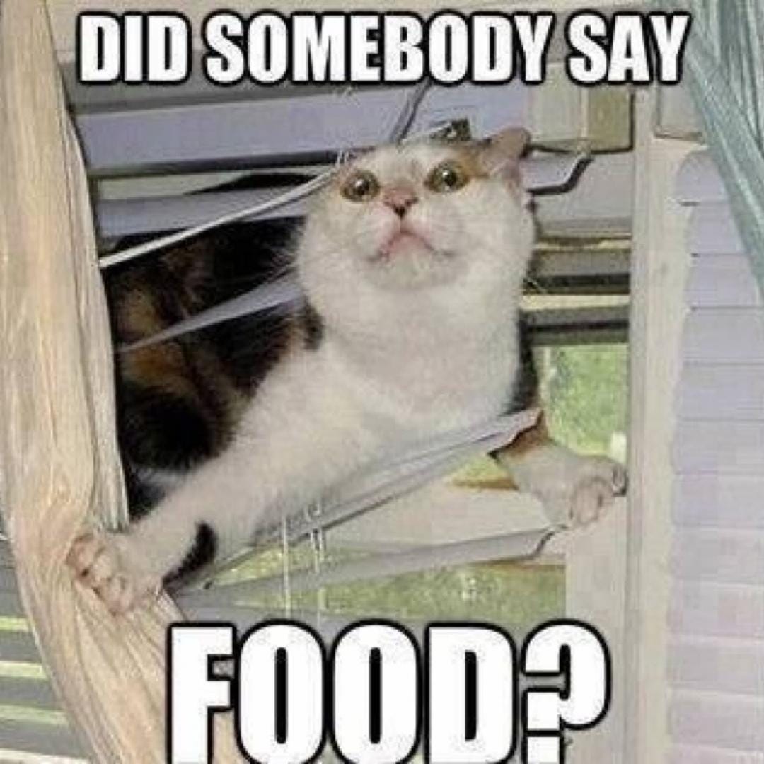 Food Memes - Geeks + Gamers