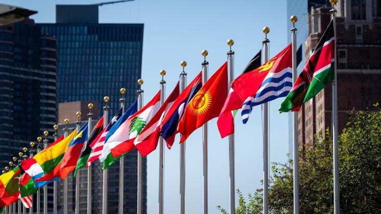 United Nations flags. United Nations flags.