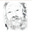 wally ross's avatar