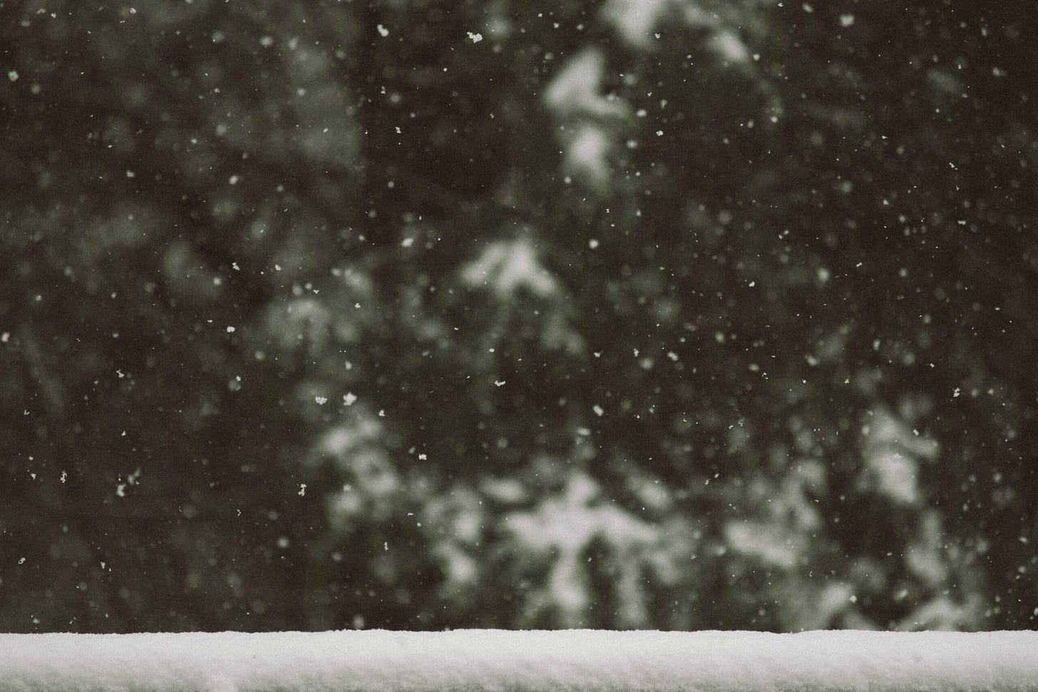 The Obscure Tales of A Christmas Carol by Sabrina Seiwert The Obscure Tales of A Christmas Carol by Sabrina Seiwert