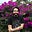 Brian R.'s avatar