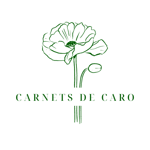 Carnets de Caro