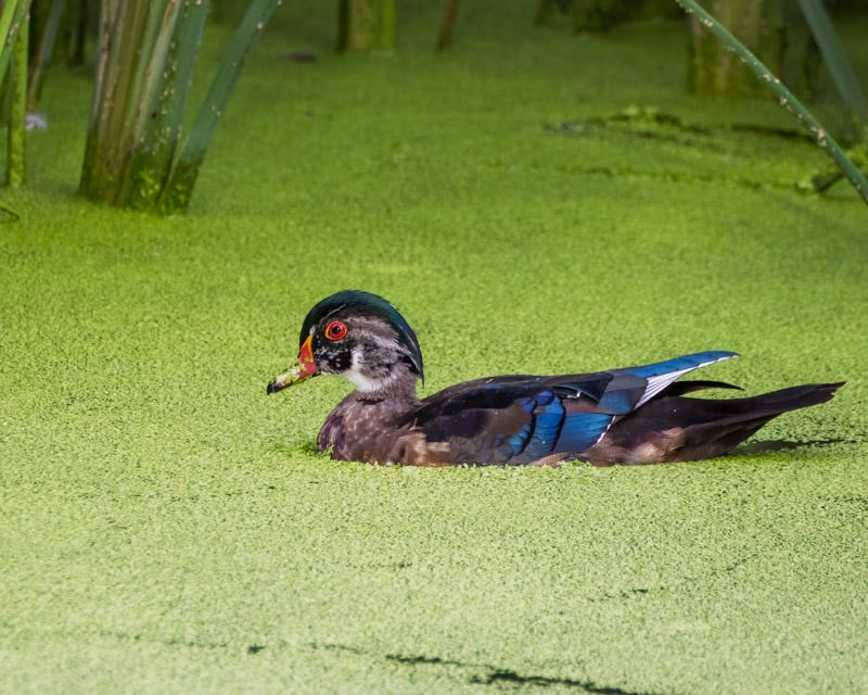 20250918-Sweetwater-16-Edit.jpg 20250918-Sweetwater-16-Edit.jpg