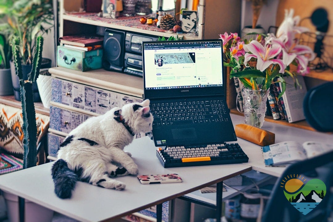 a cat sitting on a table next to a laptop