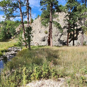 Black Hills nonprofit loses bid to stop Custer from discharging wastewater into French Creek