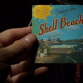 Remember The Common Cold And Shell Beach