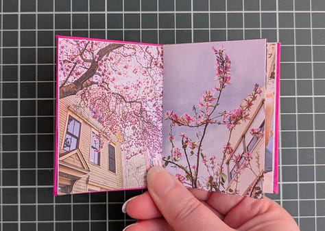 image 1; a small booklet held in a woman's hand, the cover is magenta pink with a black map pin in the center and the words "my two cities" in white. image 2, a woman's hand holds up the booklet, the spread shows to similar photos. the photo on left shows a large flowering tree with bright pink and white blooms behind the tree is a house with faded yellow wood siding, on the right the photo shows a small flowering tree with bright pink and white blooms, behind the tree is an apartment building made of pale yellow stucco. image 3, a woman's hand holds open the booklet, the spread shows two similar photos. the photo on the left shows a gothic archway through the archway we see stairs leading up to trees and a lone figure silhouetted, the photo on the right shows a tall carved stone archway, there are people in the foreground and through the archway we see a pale sky a long statue silhouetted. image 4, a woman's hand holds up the booklet, the spread shows two similar photos, the photo on the left shows various posters and flyers interspersed with graffiti on a dark brown door, the photo on the right shows a wall completely covered in flour pasted flyers and posters. image 5, a woman's hand holds up the booklet, the spread shows two similar photos, the photo on the left shows an iced coffee drink in a plastic cup and a iced blueberry scone on.a black napkin on a rustic wood table with an empty wood cane chair in the background, the photo on the right shows an iced coffee drink in a glass mason chair and a croissant covered in powdered sugar on a black stone tray sitting on a smooth wooden table, there's am empty white woven chair in the background. image 6, a woman's hand holds up the booklet, the spread shows two similar photos, the image on the left shows the tops of trees and small homes and flat top apartment buildings, the sky is pale yellow and blue and a few dark blue clouds dot it, the image on the right shows the tops of white homes and apartments with dark red terracotta shingles on the roofs, the sky is pale blue and yellow with dark blue and bright pink clouds. image 7, a woman's hand holds open the booklet, the spread shows two similar photos, the photo on the left shows a white gallery wall featuring many framed art works in varying sizes and shapes. a long man in a khaki shorts and blue shirt stands to the left looking up at the artwork, the photo on the right shows a large beige curved wall featuring many hanging loose canvases painted in bright warm colors, a lone man stands to the right in all black looking up at the canvases. image 8, a woman's hand holds open the booklet, the spread shows two similar photos, the photo on the left is a woman's left hand holding an ice cream cone with two scoops, the ice cream is white with brown flecks, the background shows a blurry concrete sidewalk, the photo on the right show's a woman's left hand holding an ice cream cone, the ice cream is dark chocolate and artfully arranged into petals to resemble a rose, the background is a blurry tiled sidewalk in white and black. image 9, a woman's hand holds open the booklet, the spread is two similar photos, the photo on the left is a bright blue sky with fluffy white clouds over the NYC skyline, the photo on the right shows the sky in the exact same bright blue shade with white fluffy clouds that seem to connect with the clouds from the photo on the left, the buildings at the bottom of the photo are white with bright red terracotta roofs