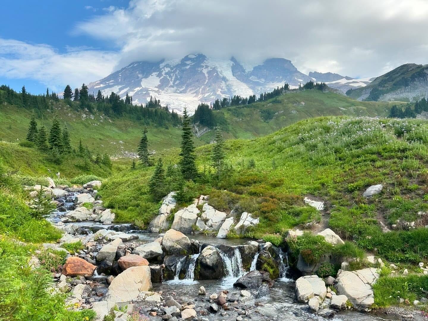 No photo description available.