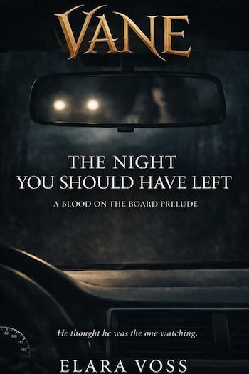 book cover dark with a woman behind a steering wheel of a car and headlights in her rearview book cover dark with a woman behind a steering wheel of a car and headlights in her rearview