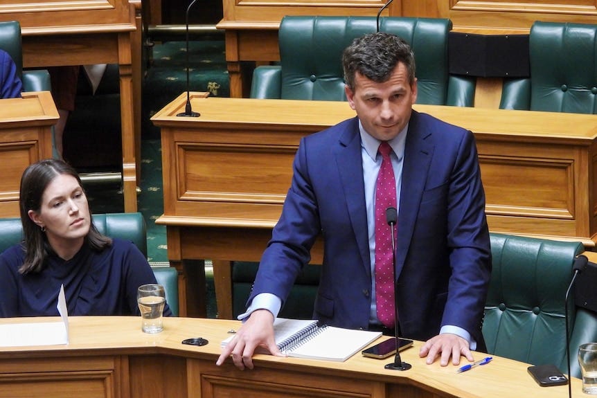 A man in a suit stands in the chamber