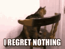 a cat sitting on a chair with the words i regret nothing written below it a cat sitting on a chair with the words i regret nothing written below it