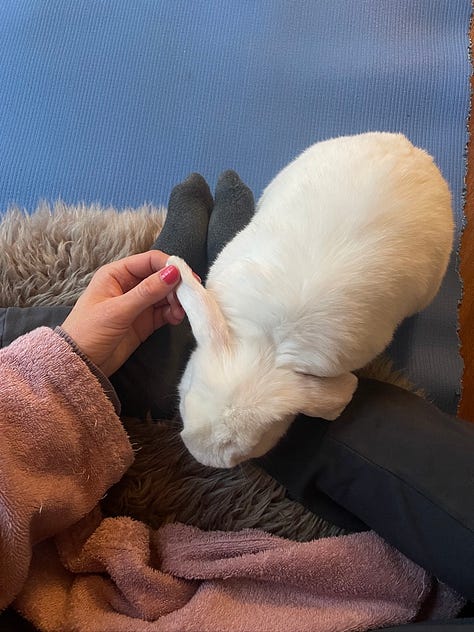 Image 1: Birds eye view of the Artist's Way in Laura's lap. Image 2: A view from the Onkaparinga Climbing area. Image 3: A birds eye view of Percy while Laura is doing yoga.