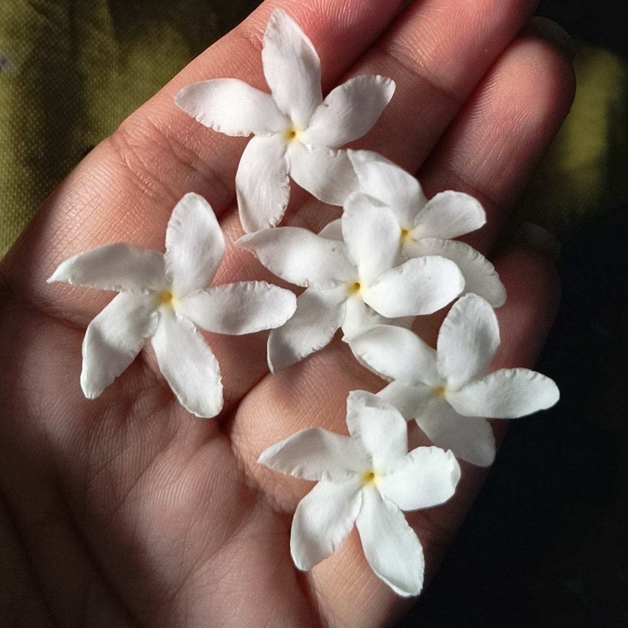 aditi's bag of feelings ❀