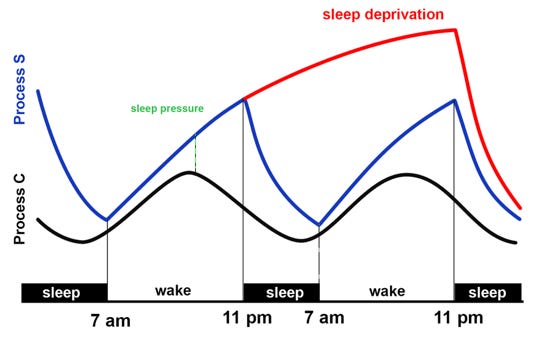 Sleep cycle original Sleep cycle original