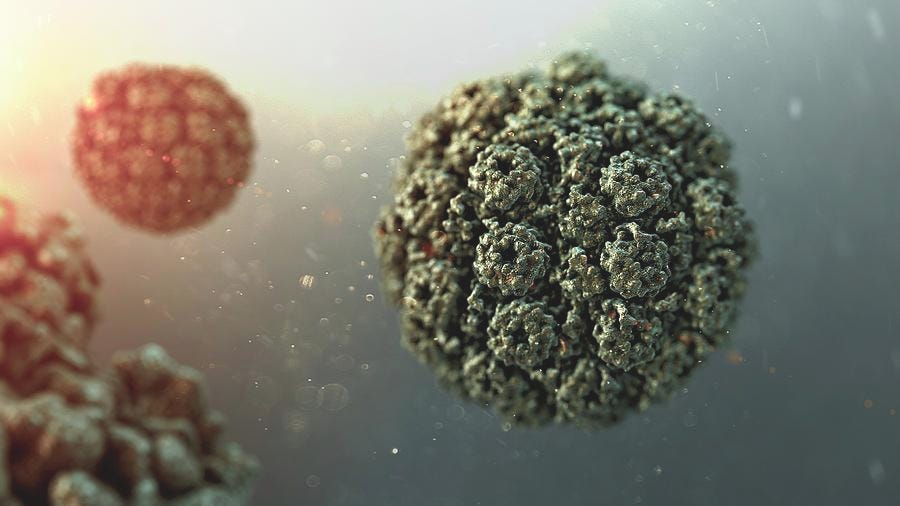 Sv40 Virus Capsid #1 by Karsten Schneider