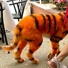 A change in plans + 3 recommendations