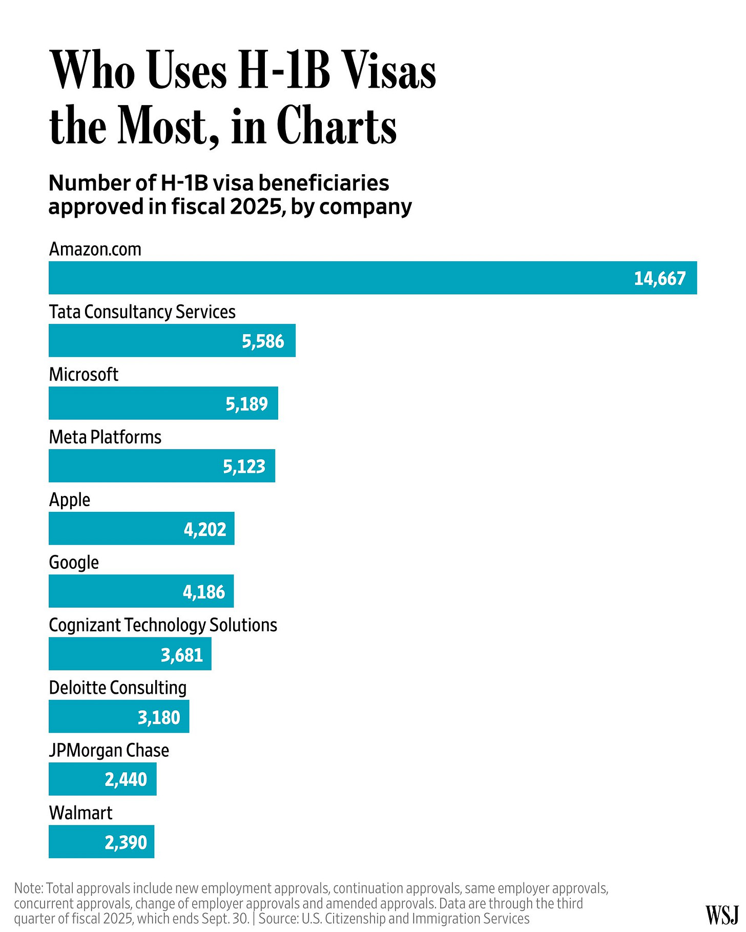 Who uses H-1B visas