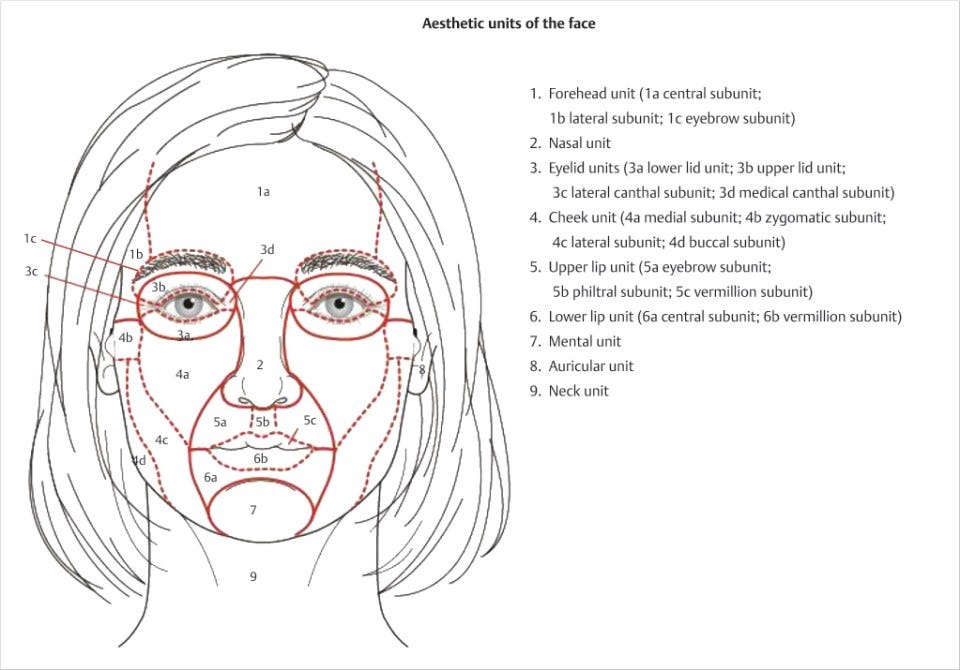 6 Principles of Facial Aesthetics | Plastic Surgery Key