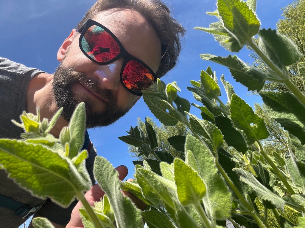 A picture containing outdoor, person, sky, goggles

Description automatically generated