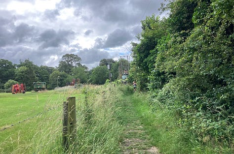 Green all around on a mixture of mud, grass and hard paths