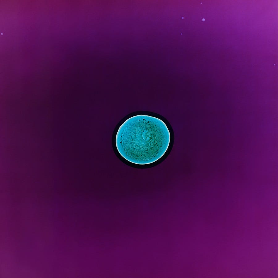 The Awake Coach | The Psychedelic Conservative