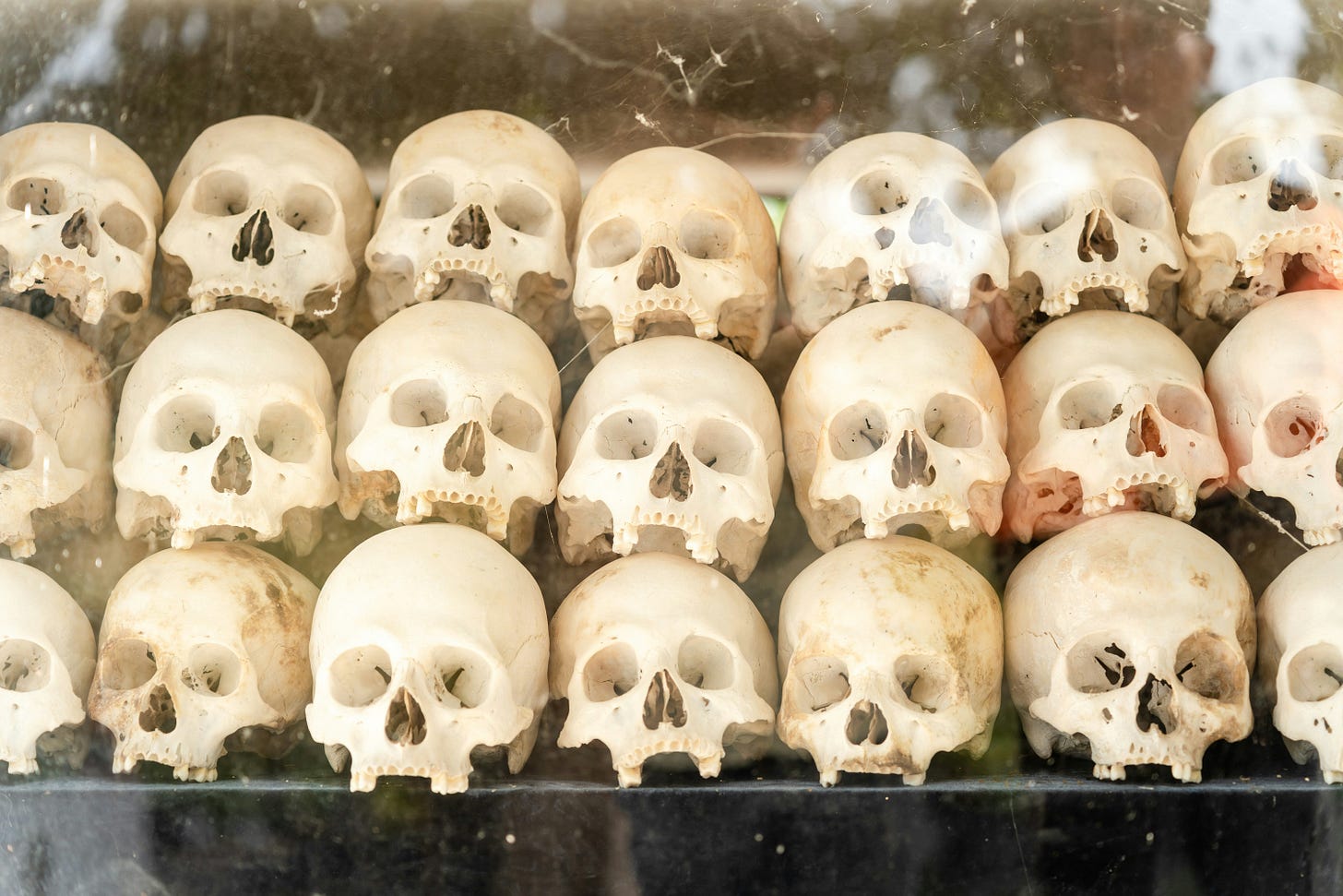 3 rows of human skulls