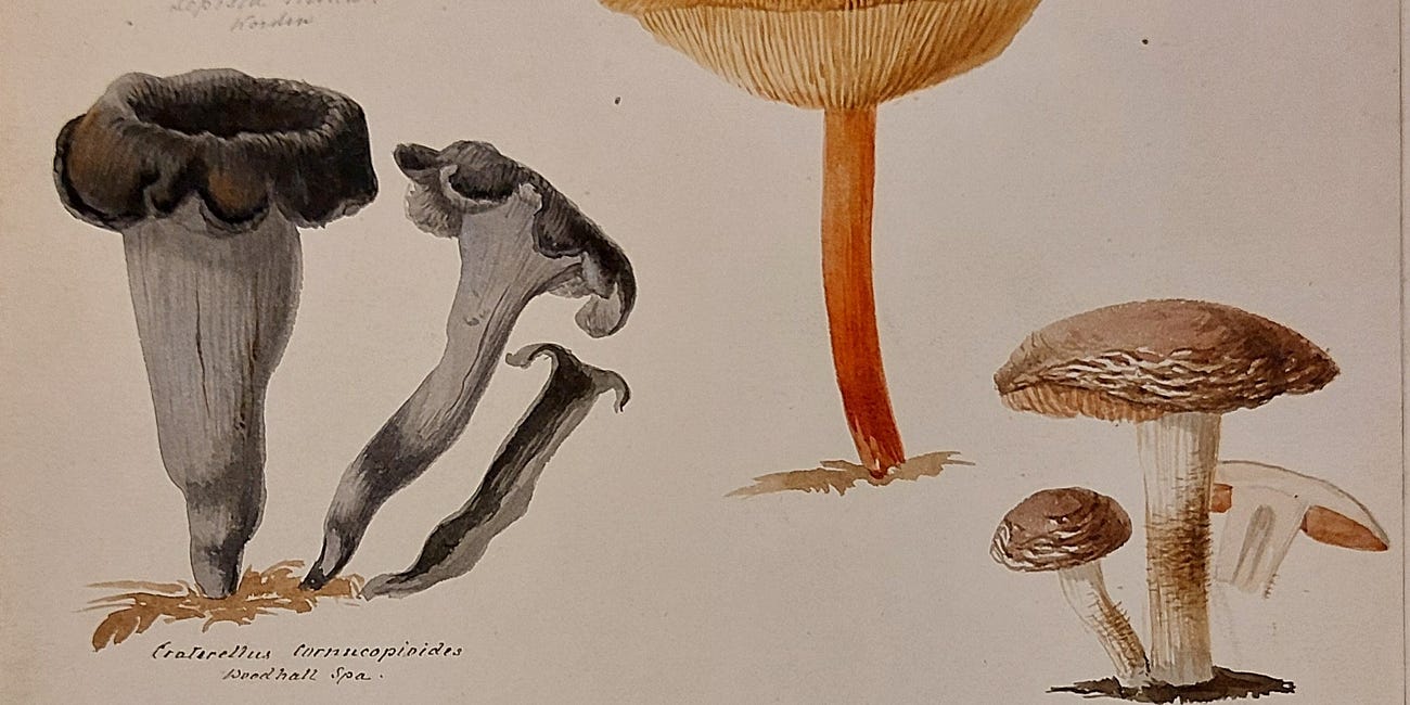 “I like the little head you sent verry much”: Encountering the encounters in the archive of the Natural History Society of Northumbria