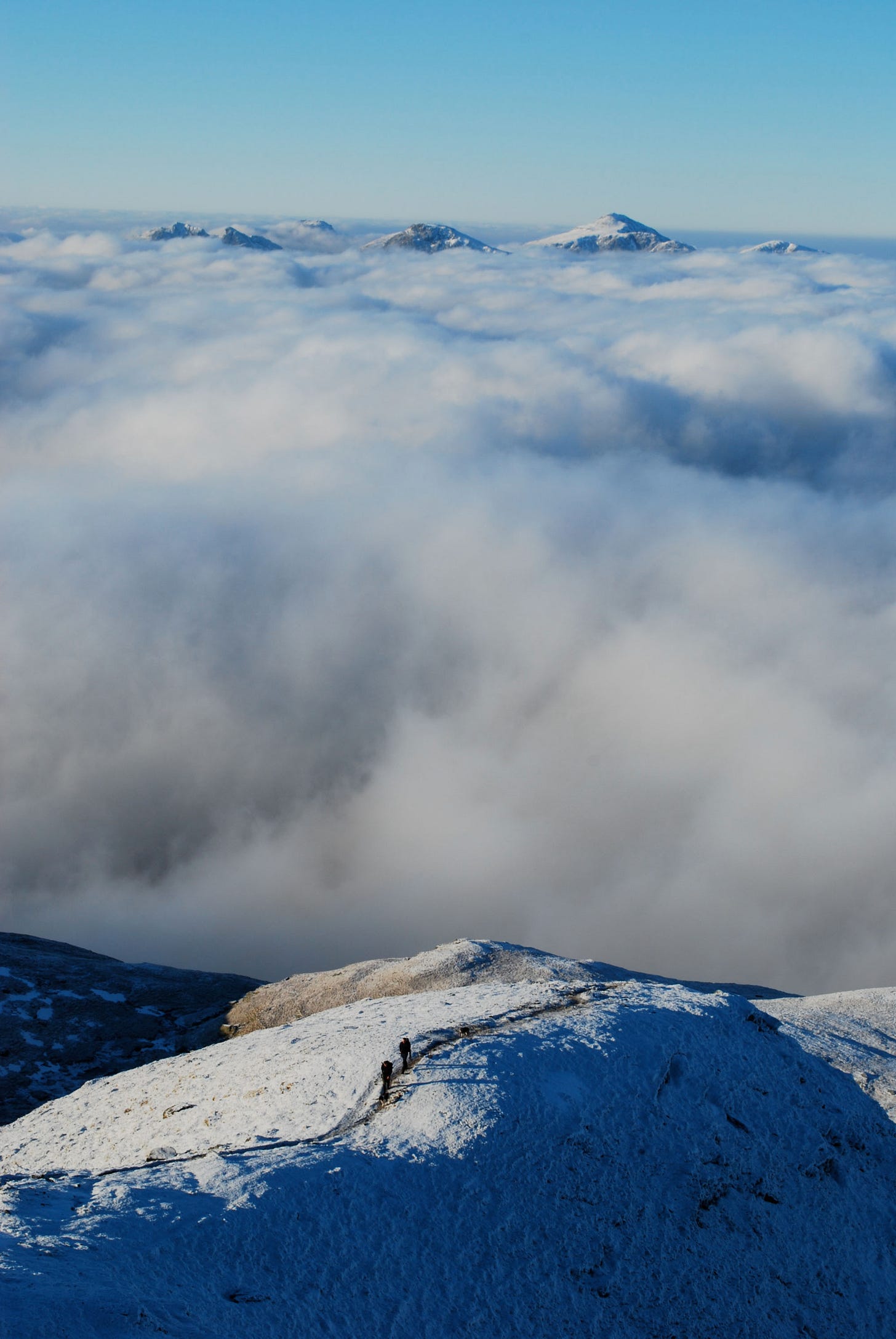 cloud sea with snowy peaks