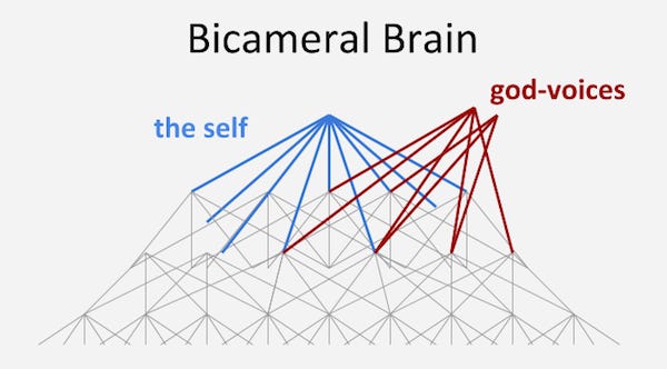bicameral_brain