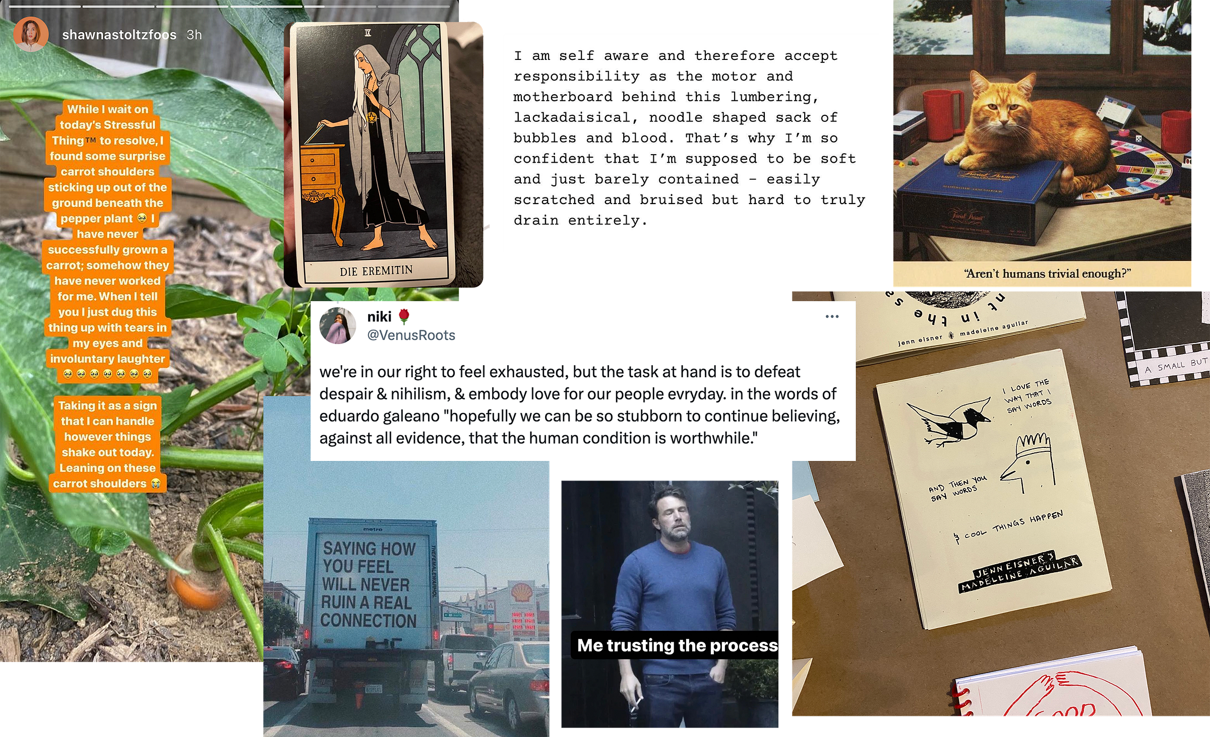 a collage of 8 screenshots, from left to right: 1. an instagram story from @shawnastoltzfood that reads “while I wait on today’s stressful thing (tm) to resolve, I found some surprise carrot shoulders sticking up out of the ground beneath the pepper plant. I have never successfully grown a carrot, somehow they have never worked for me. When I tell you I just dug this thing up with tears in my eyes and involuntary laughter. Taking it as a sign that I can handle however things shake out today. Leaning on these carrot shoulders. 2. a tarot card the reads “die eremitin” and shows a woman with long white hair standing with a black dress and grey sweater with a hood. She is leaning toward a desk and opening a laptop. 3. black text on a white background that reads “I am self aware and therefore accept responsibility as the motor and motherboard behind this lumbering, lackadaisical, noodle shaped sack of bubbles and blood. That’s why I’m so confident that I’m supposed to be soft and just barely contained - easily scratched and bruised but hard to truly drain entirely.” 4. a photograph of an orange cat atop a table with the game “trivial pursuit” underneath him. The caption reads “aren’t humans trivial enough?” 5. screenshot of a tweet by @venusroots that reads “we’re in our right to feel exhausted, but the task at hand is to defeat despair & nihilism, & embody love for our people evryday. In the words of eduardo galeano ‘hopefully we can be so stubborn to continue believing, against all evidence, that the human condition is worthwhile.” 6. text on the back of a truck that reads “saying how you feel will never ruin a real connection” 7. a meme showing ben affleck looking exhausted standing outside with one hand in his pocket and the other one holding a cigarette. His eyes are closed and the caption reads “me trusting the process”  8. a tabletop shows a few printed objects on paper; they look to be books. In the center is a cream colored paper with two simple drawings of birds and the text “I love the way that I say words / and then you say words / & cool things happen” 