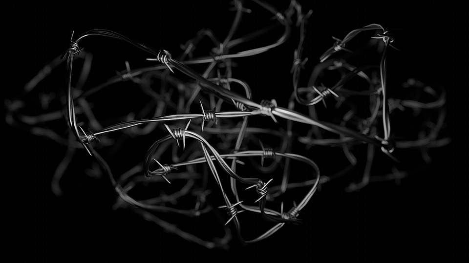 Barbed Wire, Dictatorship, Human Rights, Prison