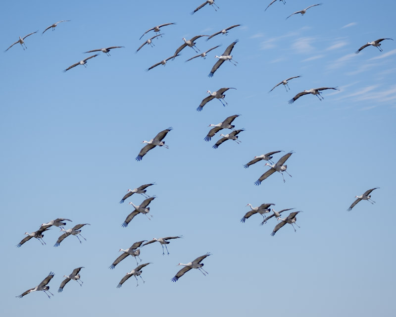 20250128-Willcox-652-Edit.jpg 20250128-Willcox-652-Edit.jpg