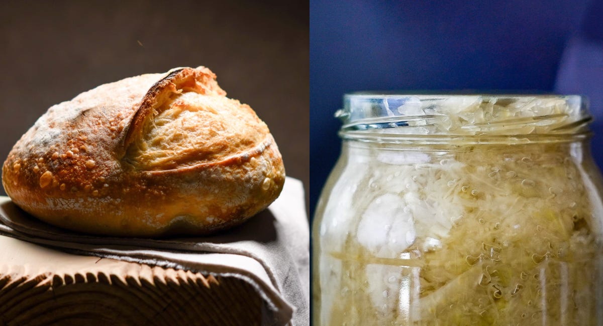All About Fermentation: Knowledge, Practice, Books & Videos, Glossary & FAQ