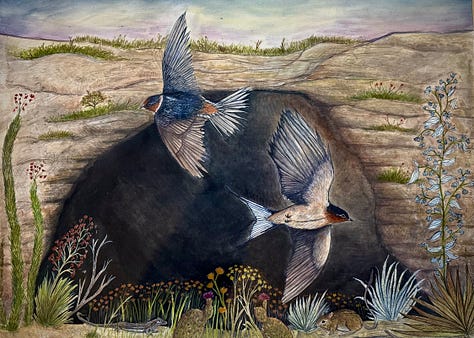 watercolors of bats, birds, and caves, Carlsbad caverns national park artist residency studio and bat mascot