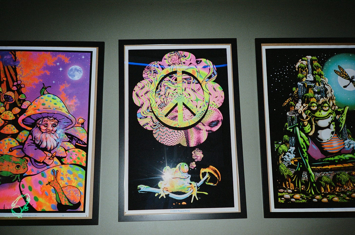 Frog posters in the bathroom