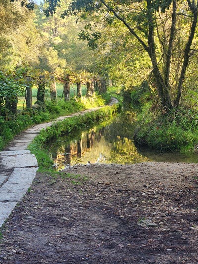 stone trail along a creek