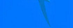 Hyacinth Macaw