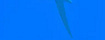 Hyacinth Macaw