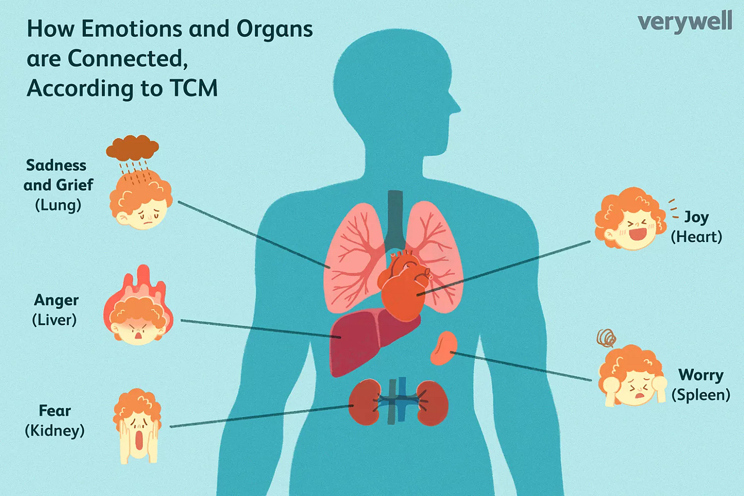 Emotions and organs in the body