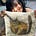 Thu Hien's avatar
