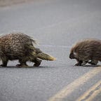 The Political Orphanage