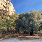 track+field: a November 2025 recap